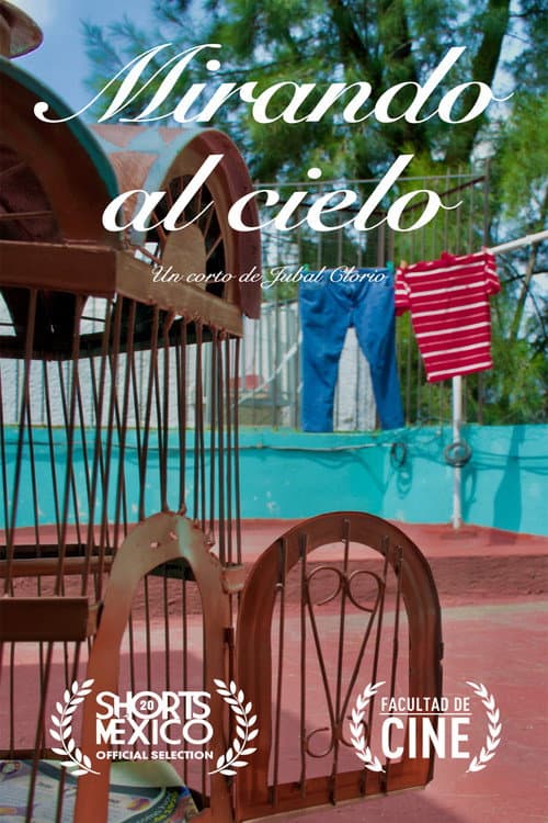 Mirando al Cielo